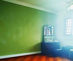 Blk 892A Tampines Avenue 8 (Tampines), HDB 4 Rooms #588424531